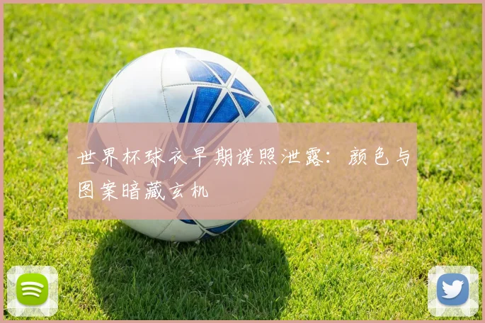 世界杯球衣早期谍照泄露：颜色与图案暗藏玄机