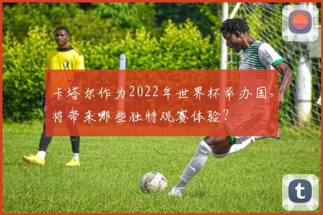 卡塔尔作为2022年世界杯举办国,将带来哪些独特观赛体验?