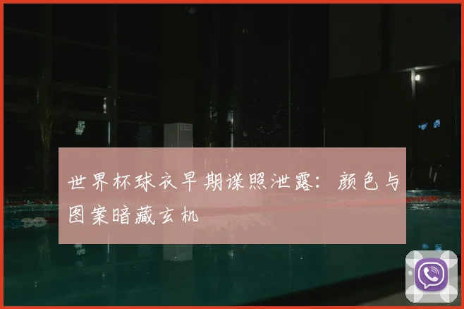 世界杯球衣早期谍照泄露：颜色与图案暗藏玄机