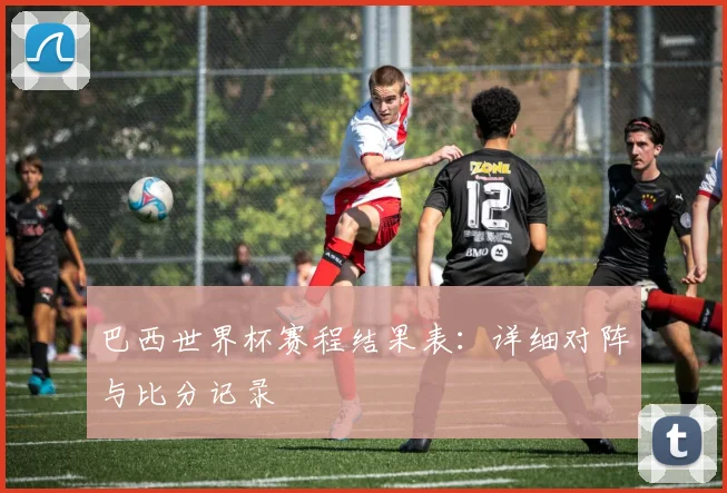 巴西世界杯赛程结果表：详细对阵与比分记录