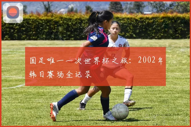 国足唯一一次世界杯之旅：2002年韩日赛场全记录