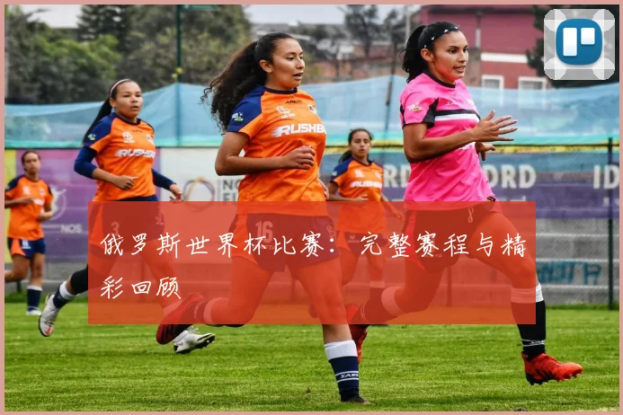 俄罗斯世界杯比赛：完整赛程与精彩回顾