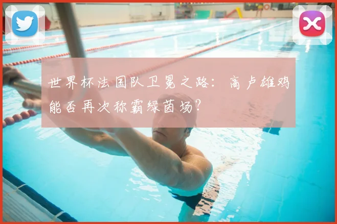 世界杯法国队卫冕之路:高卢雄鸡能否再次称霸绿茵场?