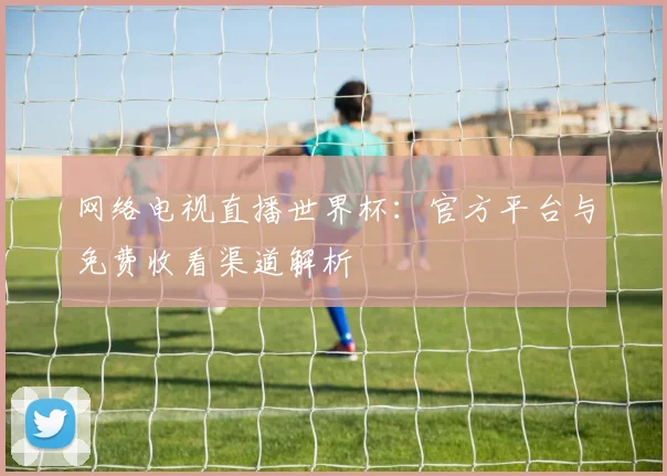 网络电视直播世界杯：官方平台与免费收看渠道解析