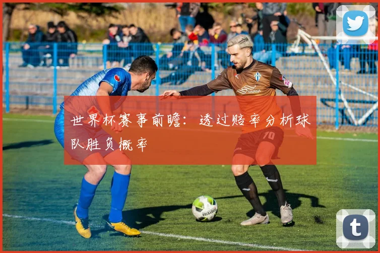 世界杯赛事前瞻：透过赔率分析球队胜负概率