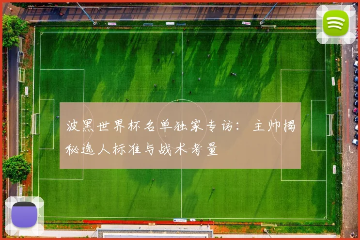 波黑世界杯名单独家专访：主帅揭秘选人标准与战术考量