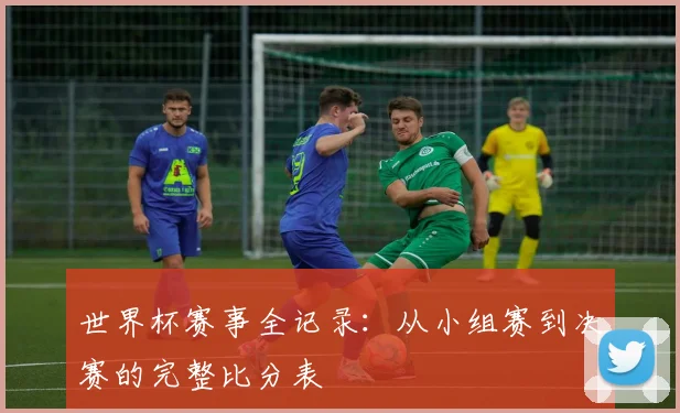世界杯赛事全记录：从小组赛到决赛的完整比分表