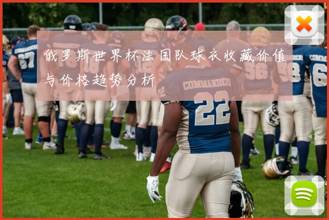 俄罗斯世界杯法国队球衣收藏价值与价格趋势分析