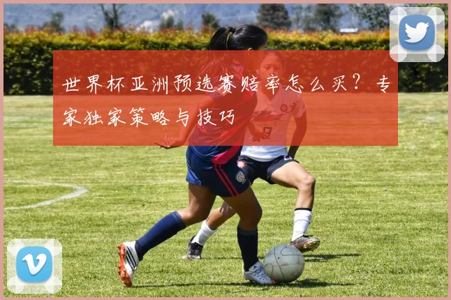 世界杯亚洲预选赛赔率怎么买？专家独家策略与技巧