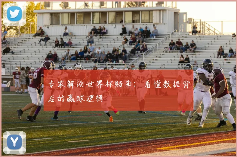 专家解读世界杯赔率：看懂数据背后的赢球逻辑